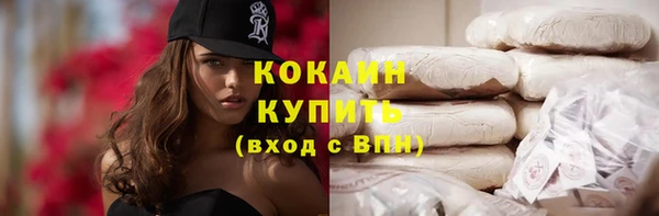 бошки Белокуриха