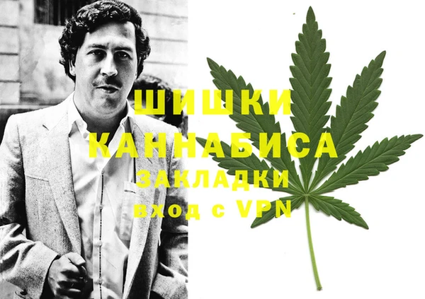бошки Белокуриха