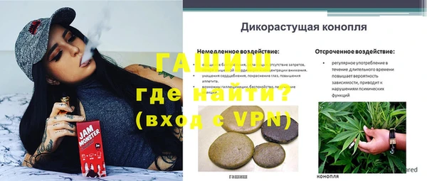 бошки Белокуриха