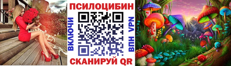 Галлюциногенные грибы Cubensis Бологое