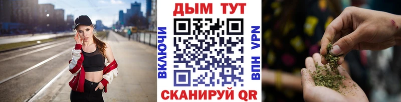 Шишки марихуана семена  где можно купить наркотик  Бологое 